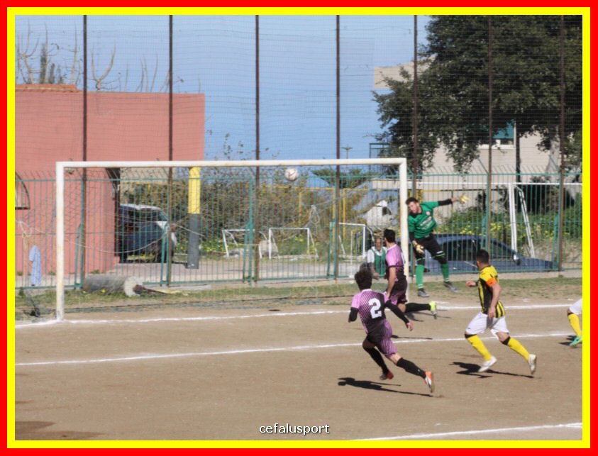 190310 Cephal_Torrenov 064_tn.jpg